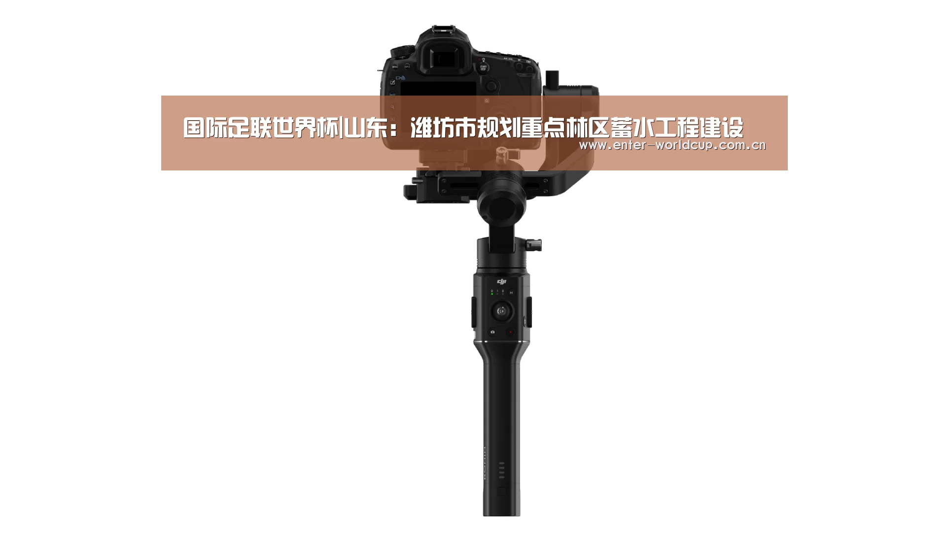 国际足联世界杯|山东:潍坊市规划重点林区蓄水工程建设(图4) 实时比分