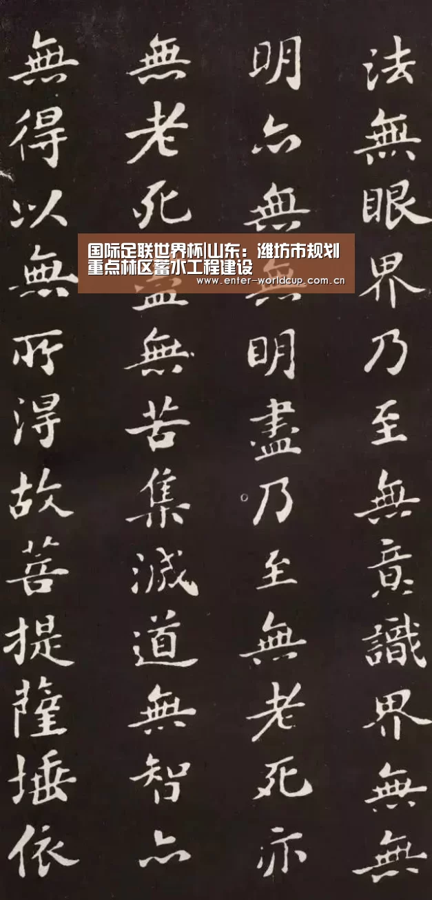 国际足联世界杯|山东:潍坊市规划重点林区蓄水工程建设(图3) 国际足联世界杯