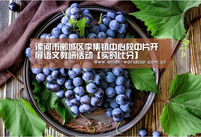 漯河市郾城区李集镇中心校中片开展语文教研活动【实时比分】(图3) 赛事新闻