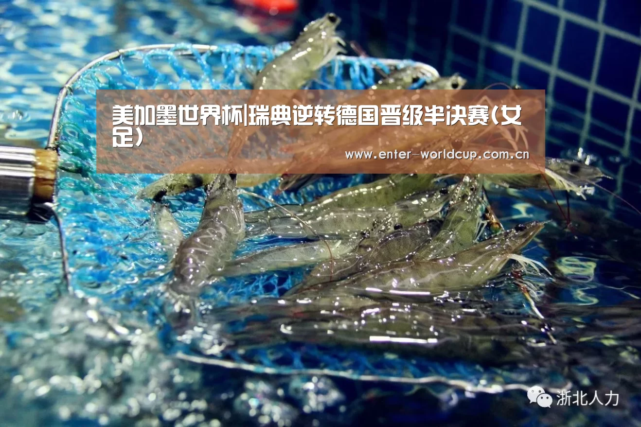 美加墨世界杯|瑞典逆转德国晋级半决赛(女足)(图1) 国际足联世界杯