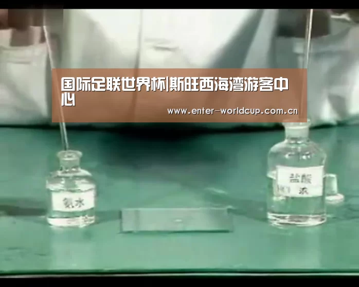 国际足联世界杯|斯旺西海湾游客中心(图1) 赛事新闻