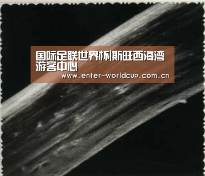 国际足联世界杯|斯旺西海湾游客中心(图2) 实时比分