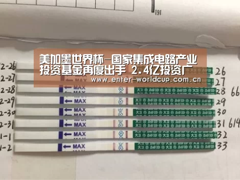 美加墨世界杯-国家集成电路产业投资基金再度出手 2.4亿投资广州兴科半导体公司(图3) 国际足联世界杯